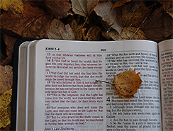 Bibel